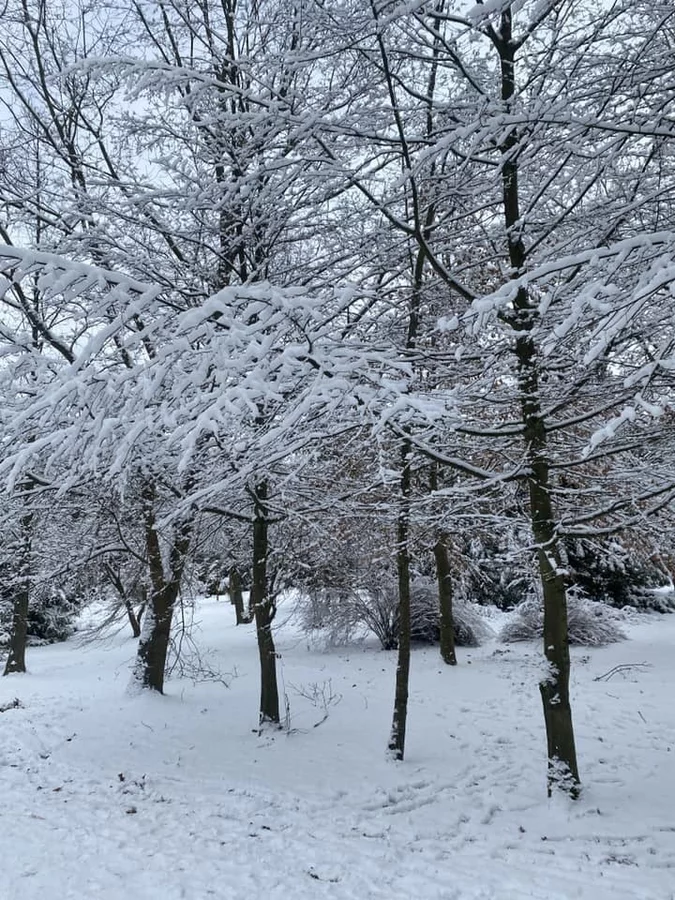 40 zimowy rajd kolarsko-pieszy ,,Bałwan”
