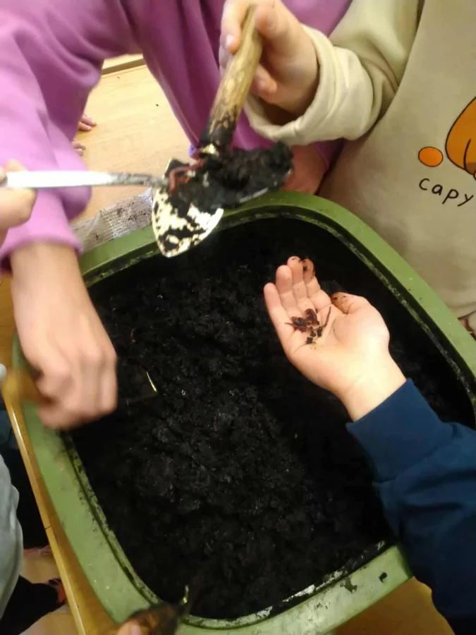 „Kompostuję - nie marnuję”