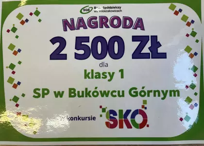 Nagroda SKO